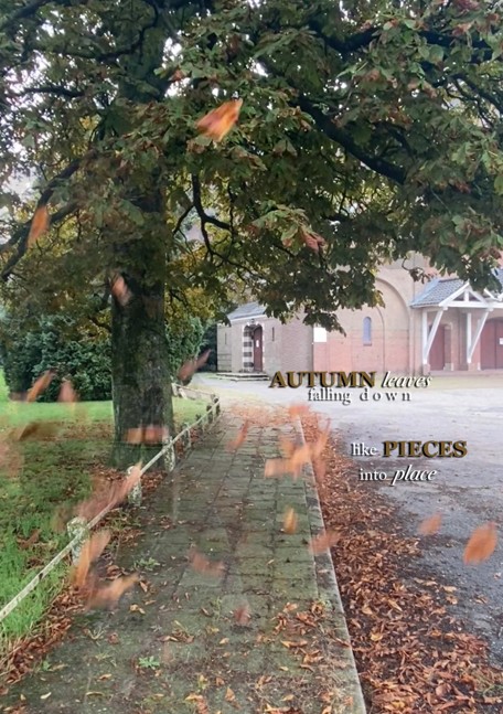 Foto Vallende blaadjes